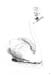 schwan